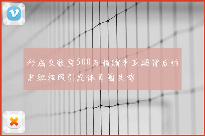秒成交张雪500万捐赠李亚鹏背后的肝胆相照引发体育圈共鸣