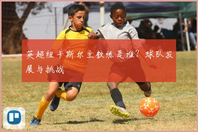 英超纽卡斯尔主教练是谁？球队发展与挑战